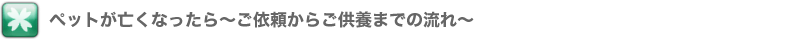 ペットが亡くなったら～ご依頼からご供養までの流れ～